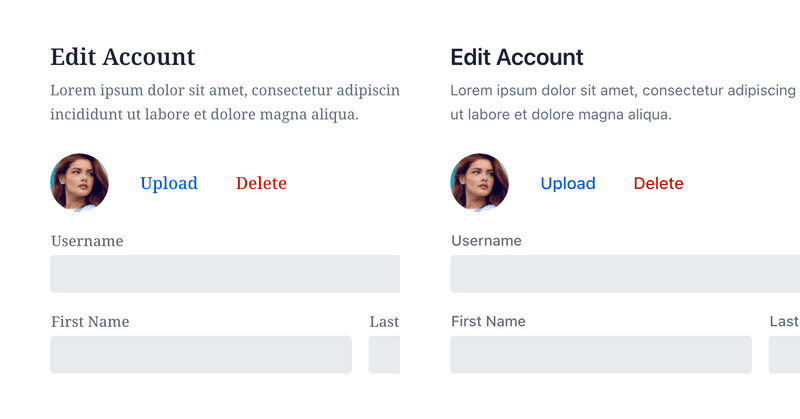 Comparison: Left Form with Serif Font; Right using Sans-Serif