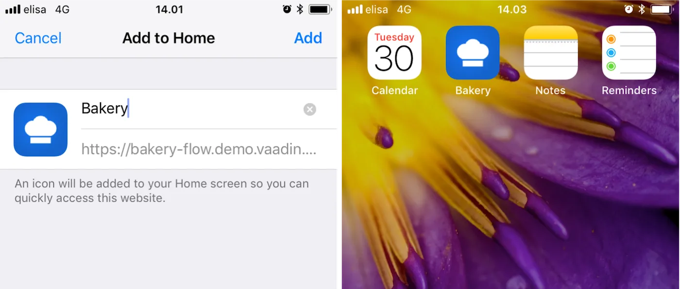 Adding to iOS homescreen