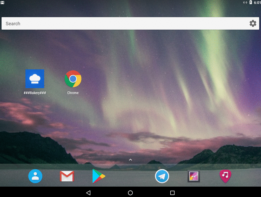 Starting the App from Home Screen
