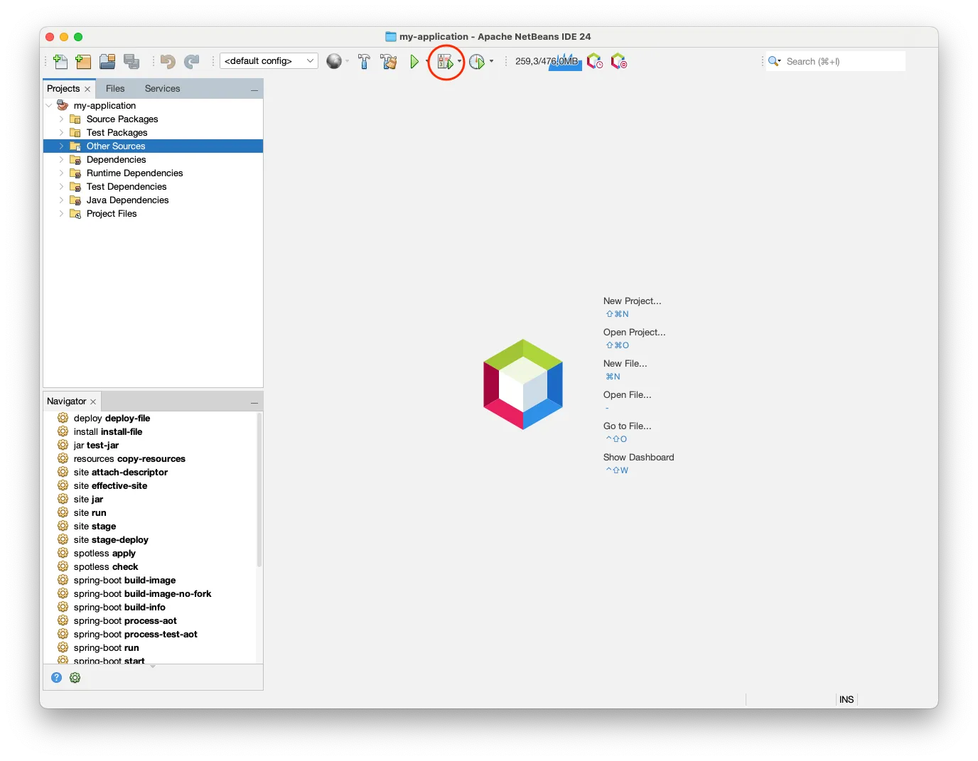 NetBeans debug button