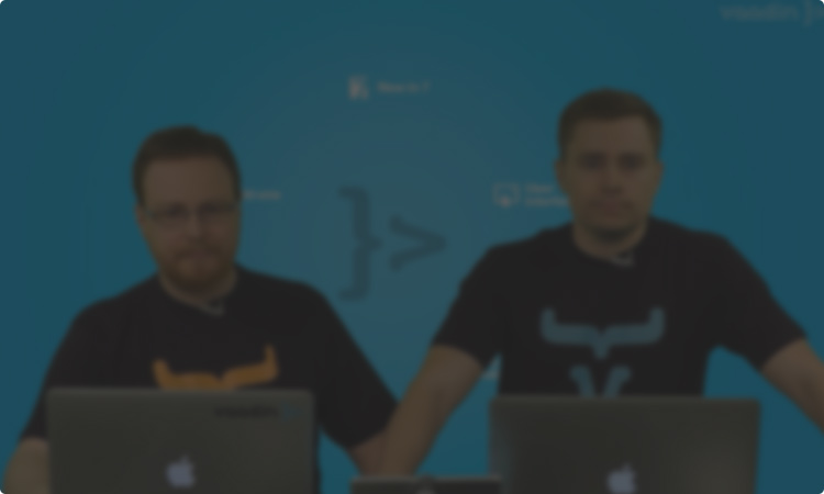 Vaadin Trainings Video