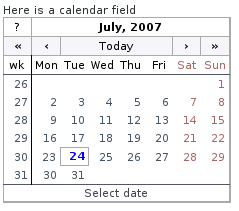 Example of the Date Field with Calendar Style