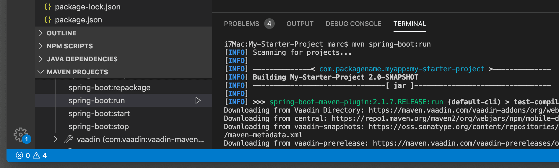 Maven projects opened in the VS Code side menu. The "spring-boot:run" target is selected and output is printed to the console.