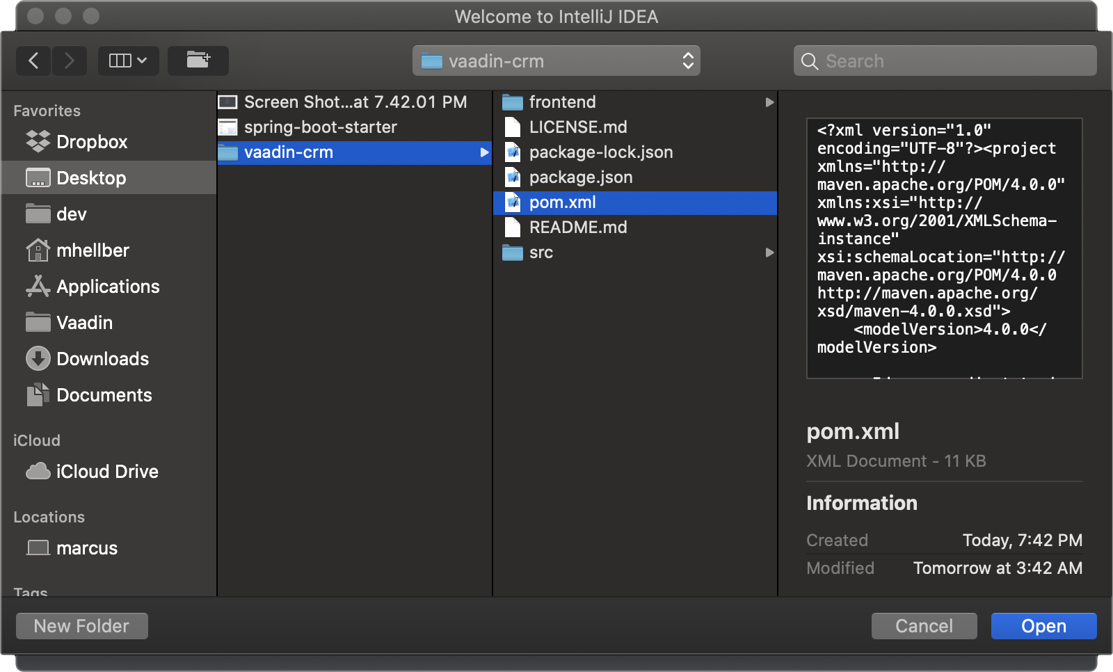 open spring boot project in intellij